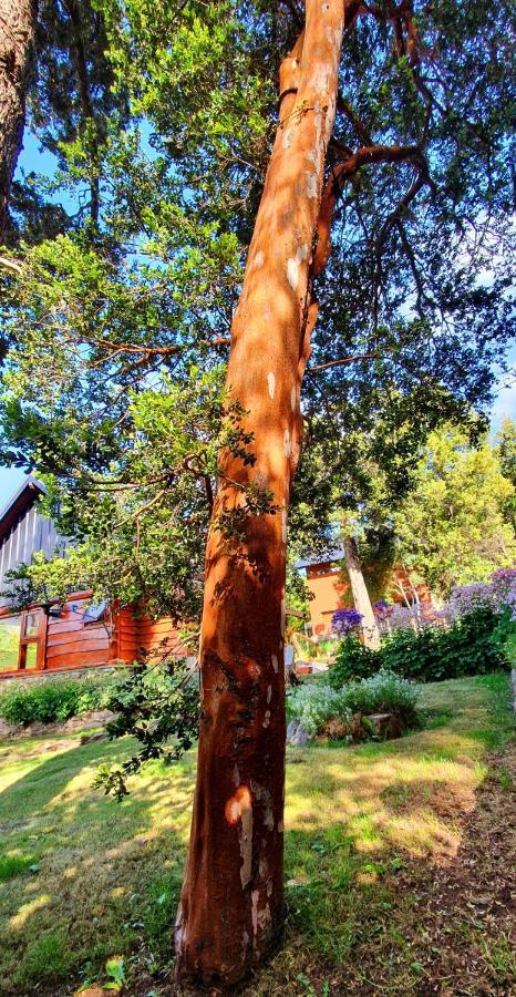 Laderas Del Campanario Villa San Carlos de Bariloche Eksteriør bilde